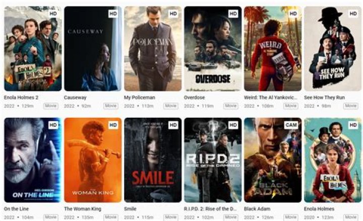 DownloadHub US: Your Ultimate Destination for Streaming and Downloading Movies and TV Shows
