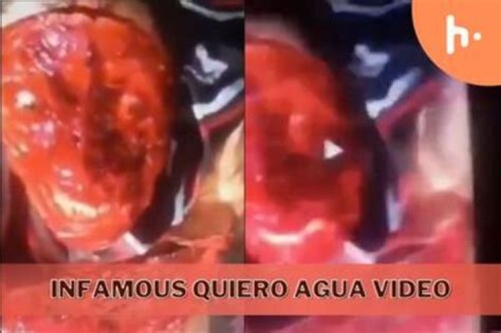 Exploring the Dark Side of Viral Content: The "Quiero Agua" Gore Video Phenomenon