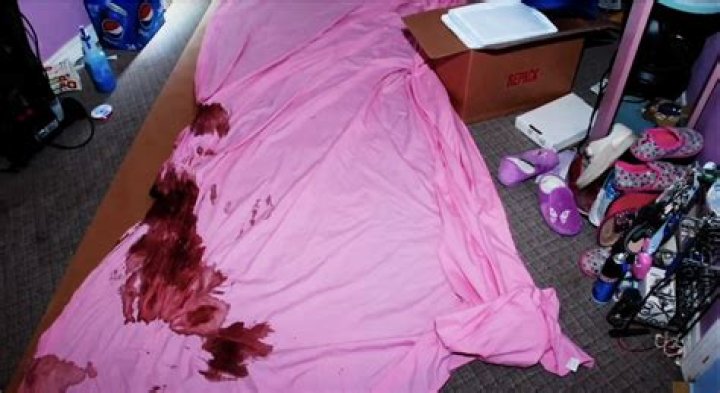 Exploring the Gypsy Rose Moms Crime Scene Photos: Unveiling the Truth Behind a Shocking Case