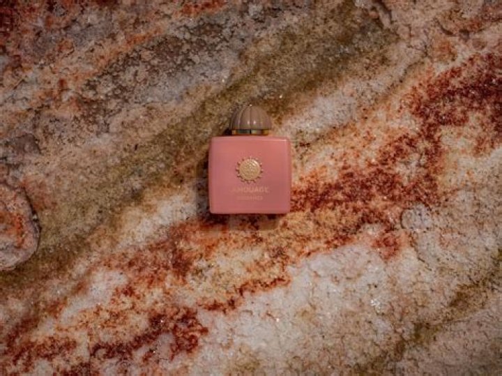 Exploring the Lives of Rihanna's Parents: A Deep Dive into Their Influence and Legacy