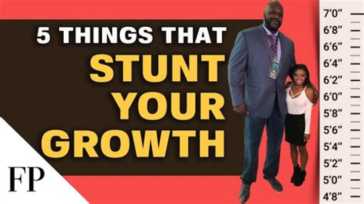 How Tall is Mia Z in Feet? Unraveling the Concept of Height