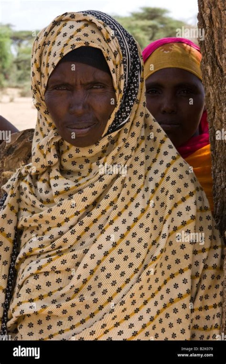 Unpacking the Linguistic Ties: Are Somali and Arabic Related?