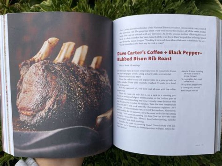 What Do You Call a Girl Bison? Unraveling the Mystery of the Plains Matriarch