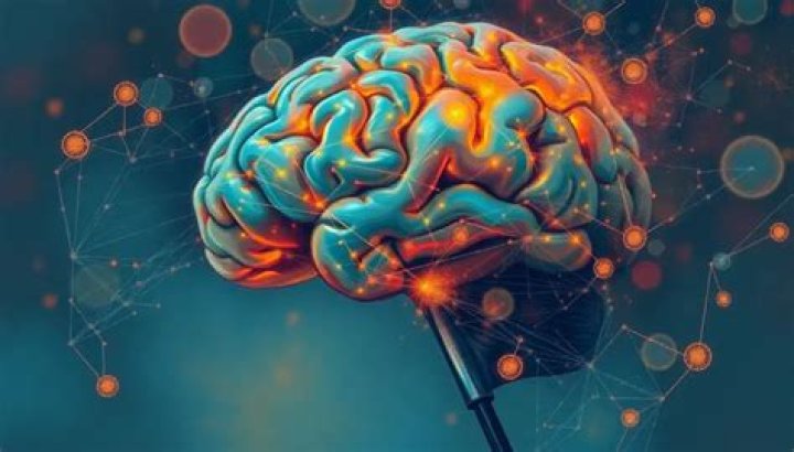 Where Did Anne Stay with Her Grandmother? Unraveling Memory and Identity